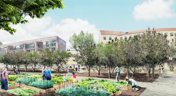 2012-08-01-image_community-garden_finalized11-1